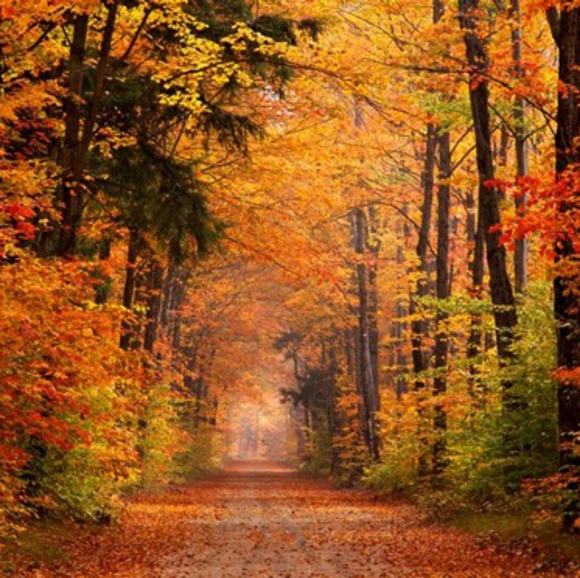 Meet your Posher, Ruben - Picture 1 of 1